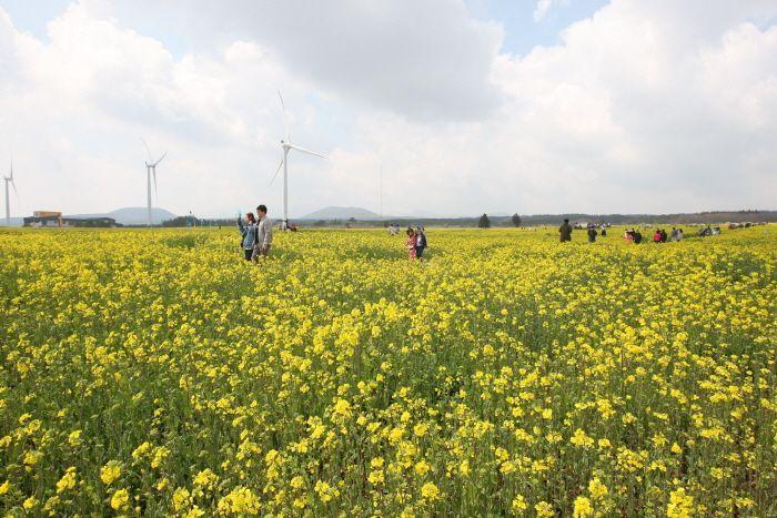 Summary of South Korea April Celebrations